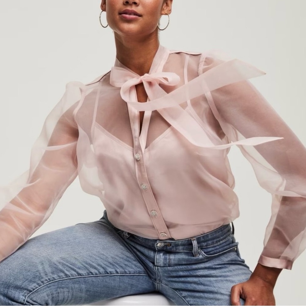 White House Black Market Sheer Blush Pink Organza Blouse w/ Camisole - NWT XL